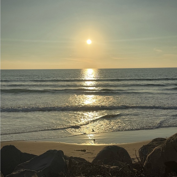 Meet your Posher, Tina - Picture 3 of 6